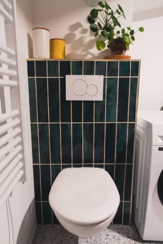 Toilettes suspendues avec carrelage mural vert profond et décoration végétale, dans un appartement lillois rénové.