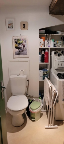 Ancienne salle de bain avec WC, lave-linge et rangements ouverts, dans un petit espace multifonction.